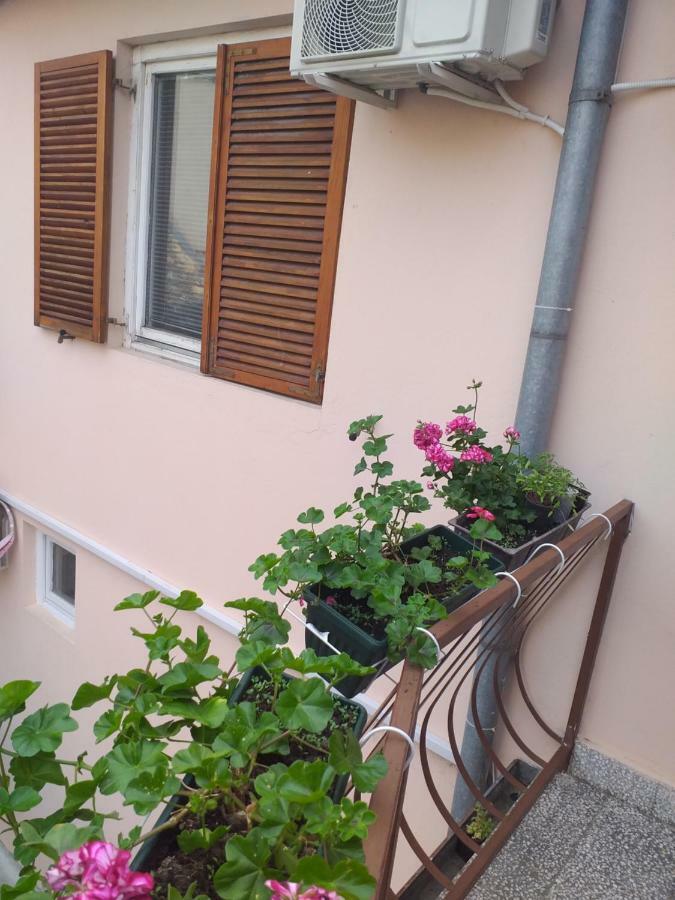 Hostel Corner 021 Novi Sad Bagian luar foto